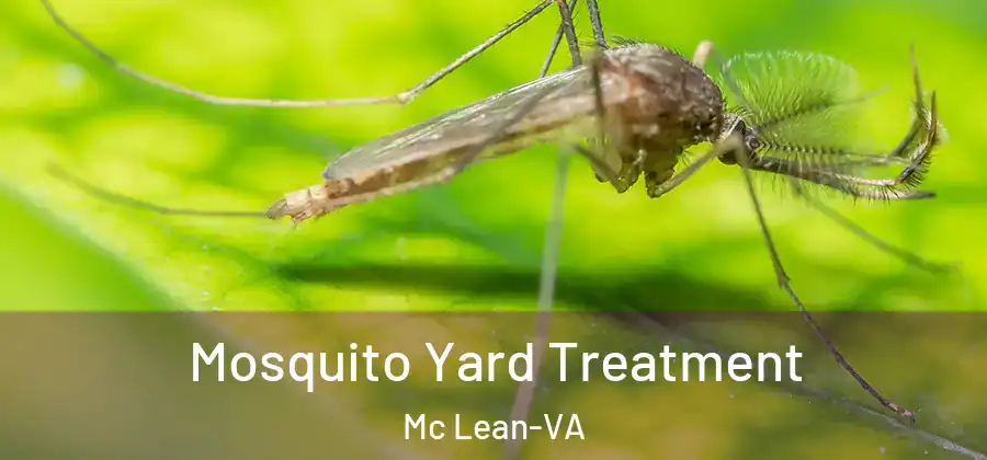  Mosquito Yard Treatment Mc Lean-VA