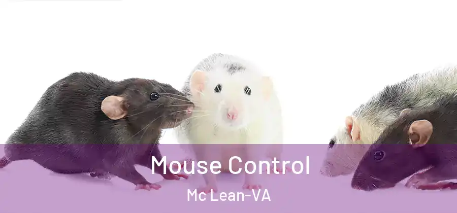 Mouse Control Mc Lean-VA