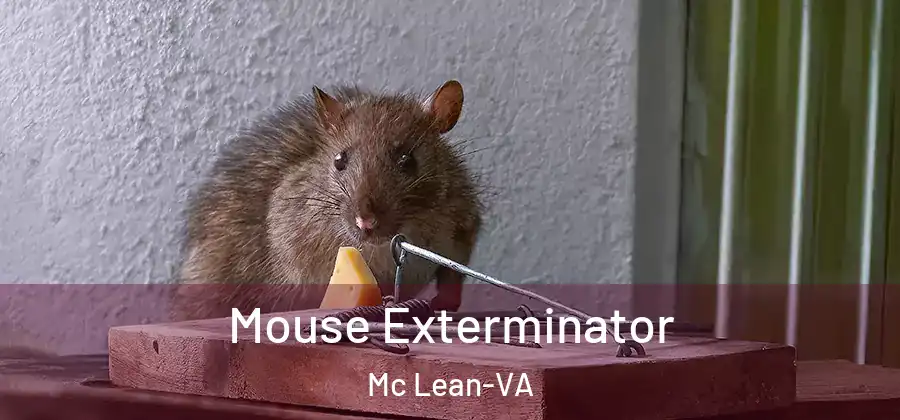 Mouse Exterminator Mc Lean-VA
