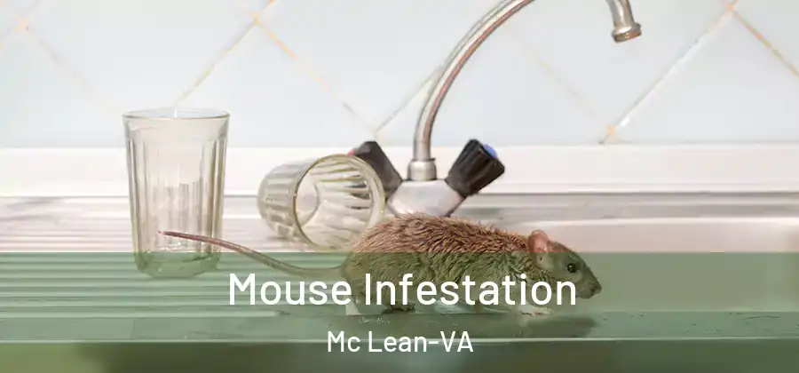  Mouse Infestation Mc Lean-VA