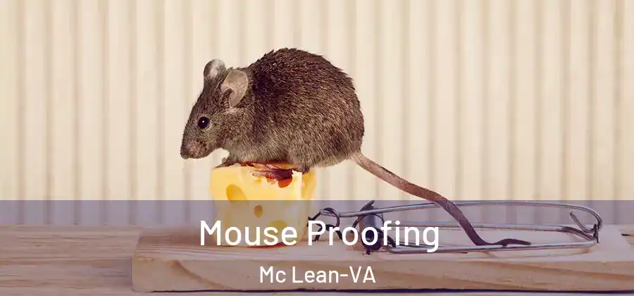 Mouse Proofing Mc Lean-VA