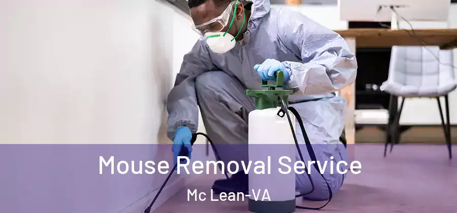 Mouse Removal Service Mc Lean-VA