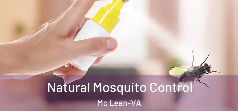  Natural Mosquito Control Mc Lean-VA