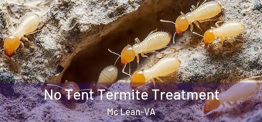  No Tent Termite Treatment Mc Lean-VA