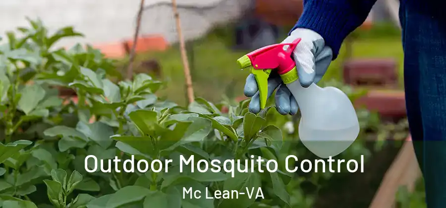  Outdoor Mosquito Control Mc Lean-VA