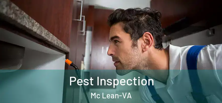 Pest Inspection Mc Lean-VA