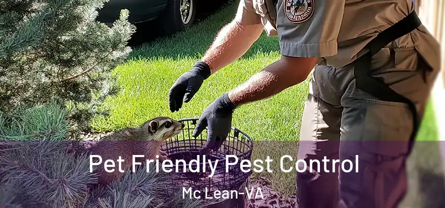  Pet Friendly Pest Control Mc Lean-VA