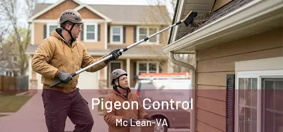 Pigeon Control Mc Lean-VA