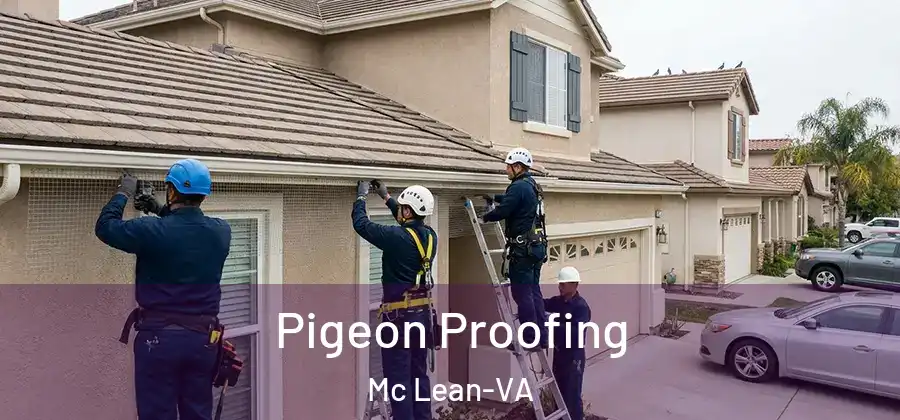 Pigeon Proofing Mc Lean-VA