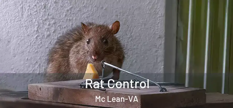  Rat Control Mc Lean-VA