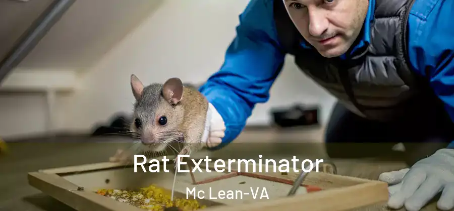  Rat Exterminator Mc Lean-VA