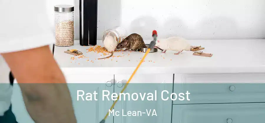 Rat Removal Cost Mc Lean-VA