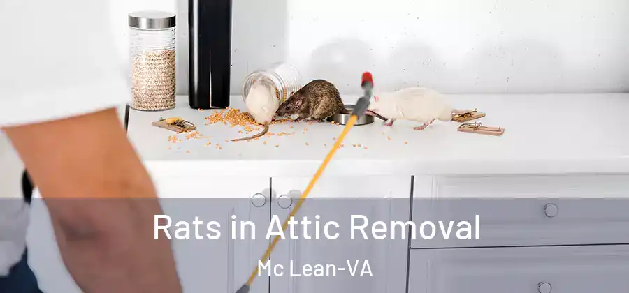  Rats in Attic Removal Mc Lean-VA