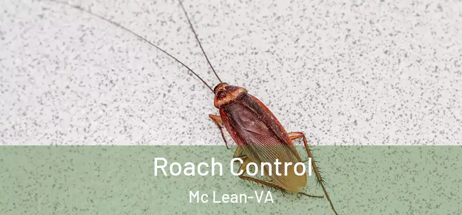 Roach Control Mc Lean-VA