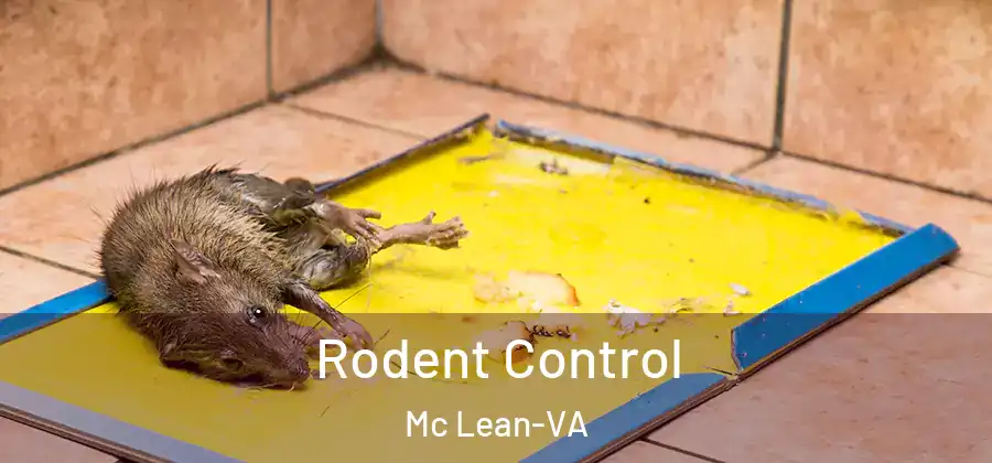  Rodent Control Mc Lean-VA
