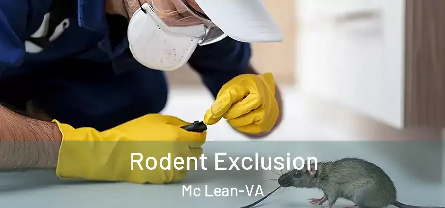 Rodent Exclusion Mc Lean-VA