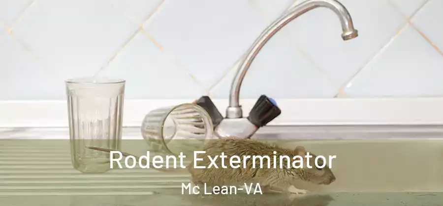  Rodent Exterminator Mc Lean-VA