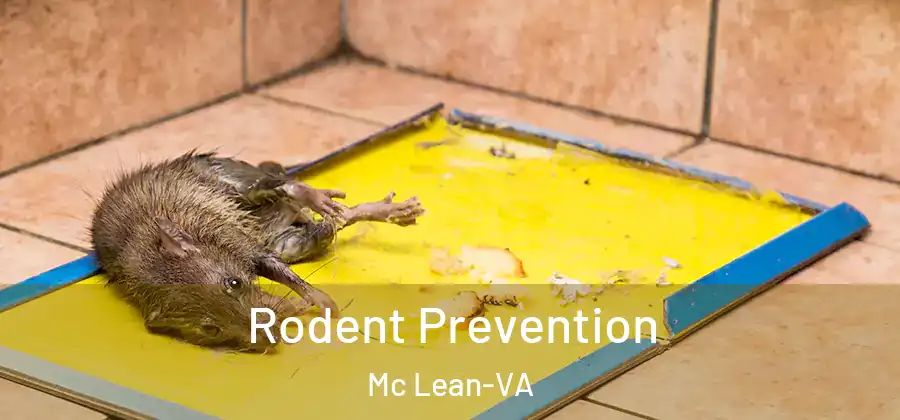  Rodent Prevention Mc Lean-VA