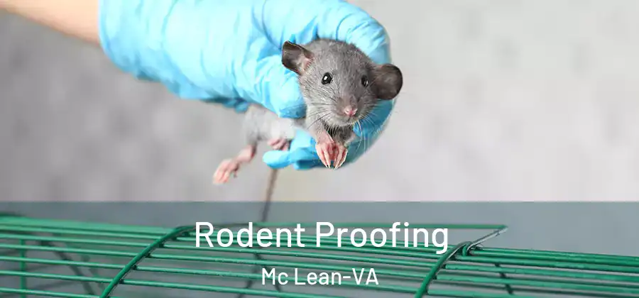 Rodent Proofing Mc Lean-VA
