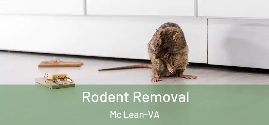  Rodent Removal Mc Lean-VA