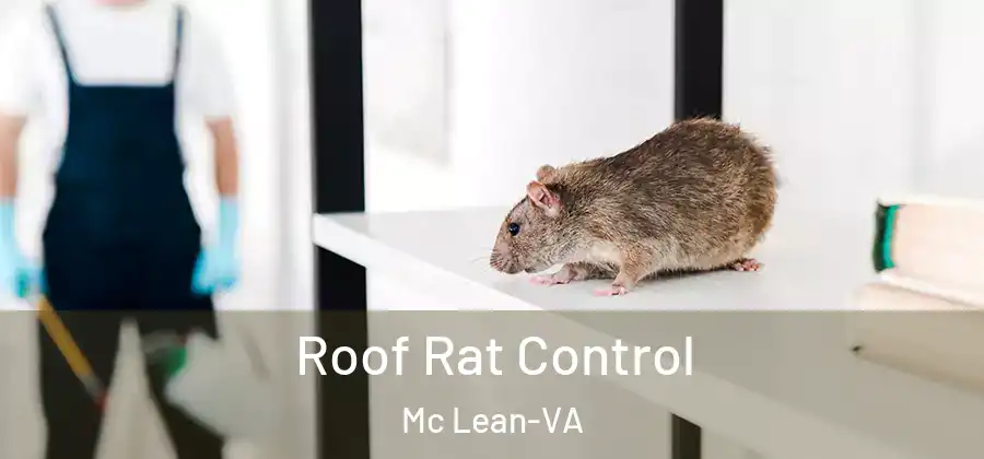  Roof Rat Control Mc Lean-VA