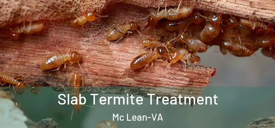  Slab Termite Treatment Mc Lean-VA