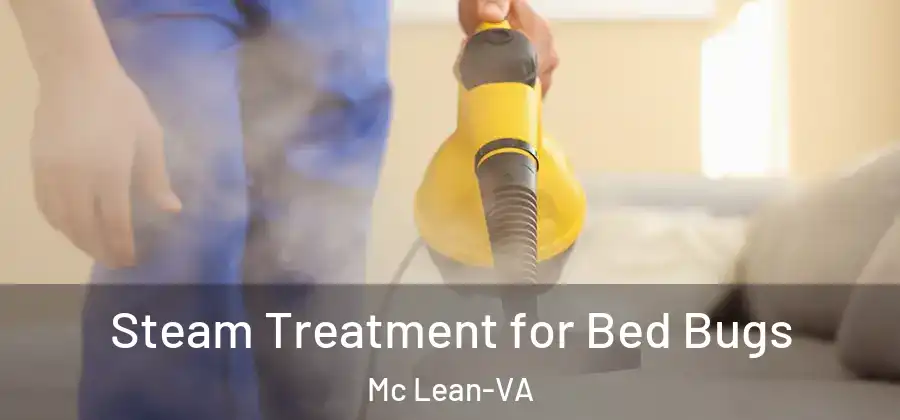 Steam Treatment for Bed Bugs Mc Lean-VA
