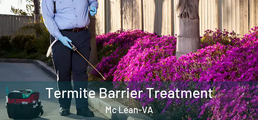  Termite Barrier Treatment Mc Lean-VA
