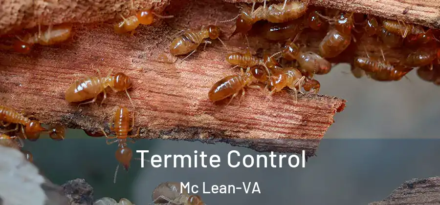Termite Control Mc Lean-VA