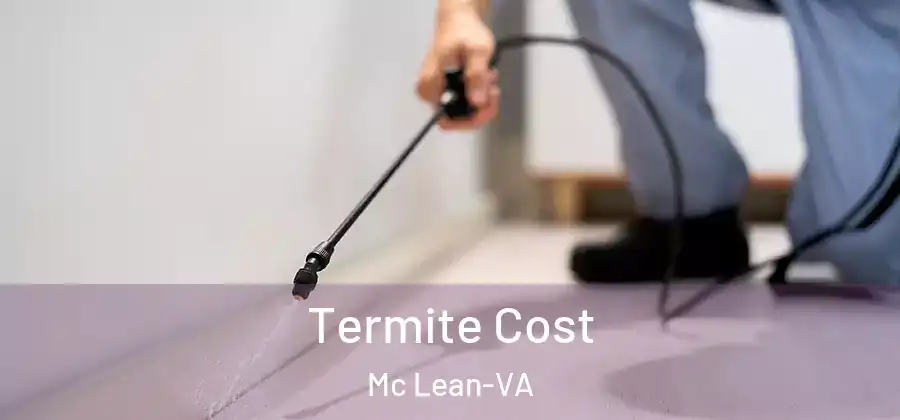 Termite Cost Mc Lean-VA