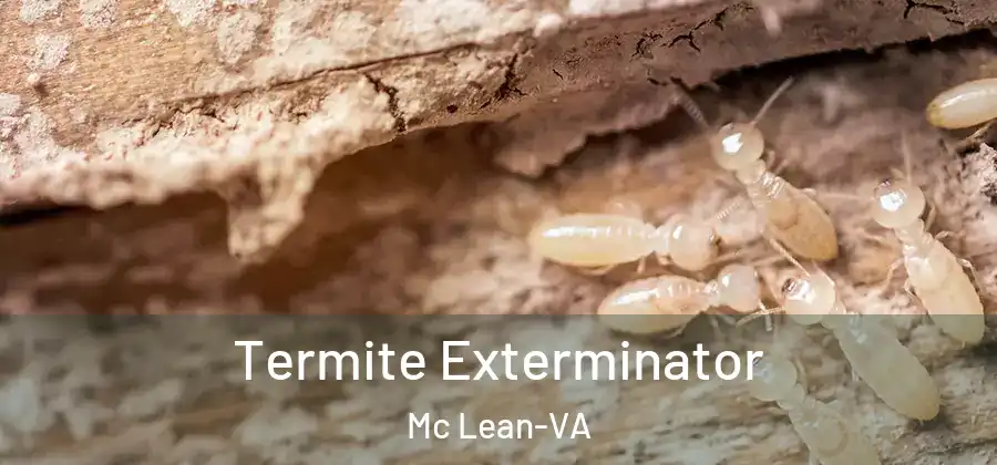  Termite Exterminator Mc Lean-VA