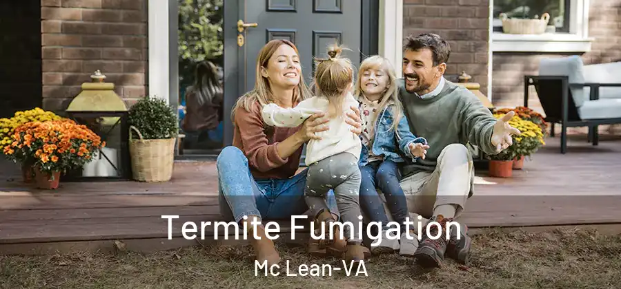 Termite Fumigation Mc Lean-VA