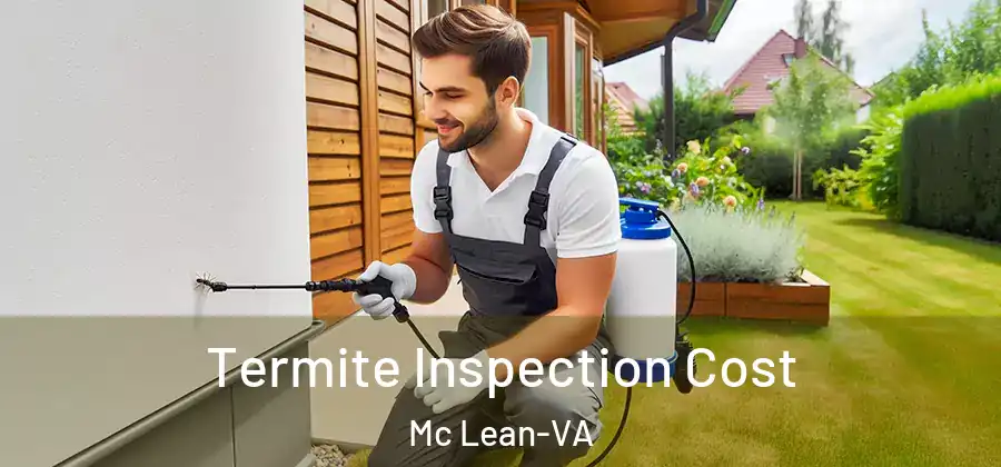 Termite Inspection Cost Mc Lean-VA