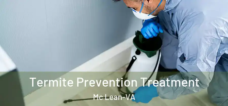  Termite Prevention Treatment Mc Lean-VA