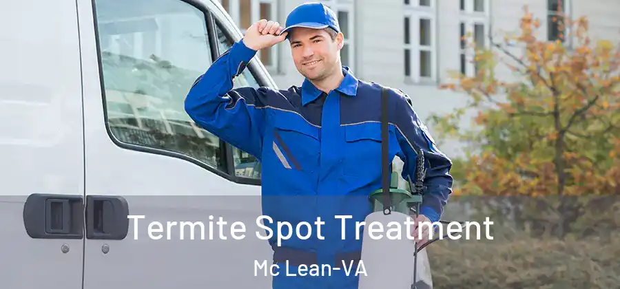  Termite Spot Treatment Mc Lean-VA