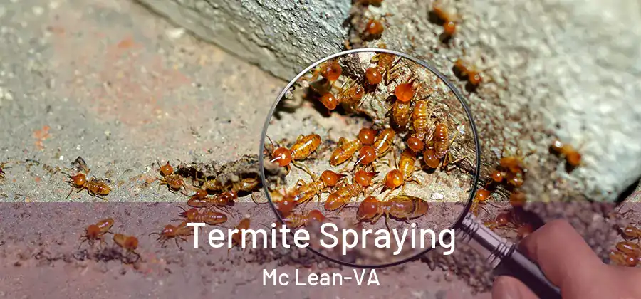  Termite Spraying Mc Lean-VA
