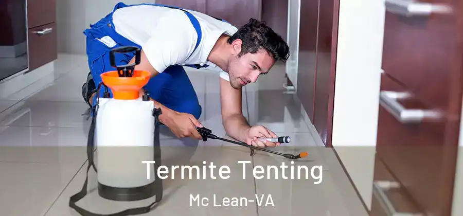  Termite Tenting Mc Lean-VA