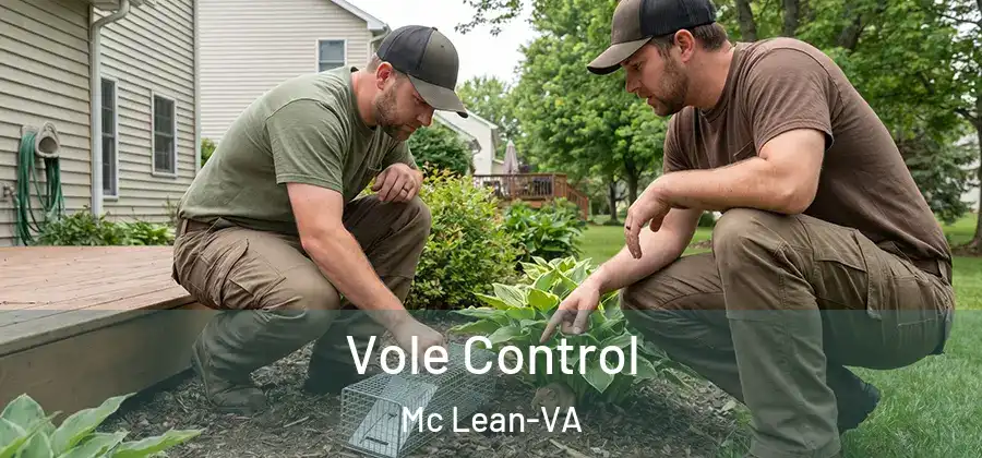  Vole Control Mc Lean-VA