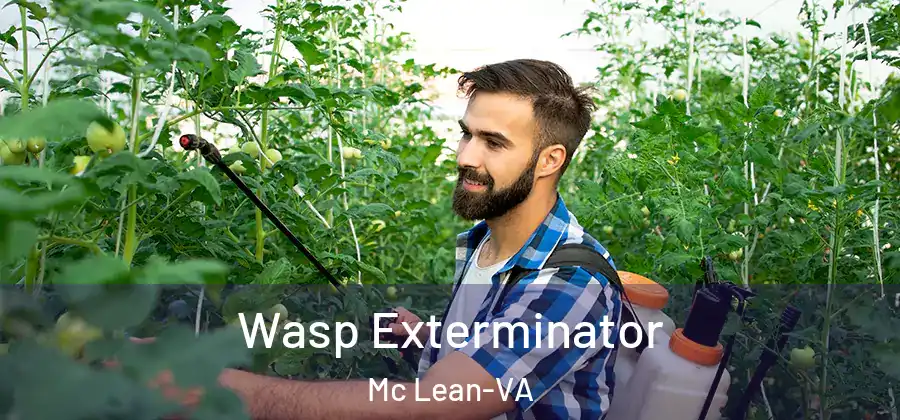 Wasp Exterminator Mc Lean-VA