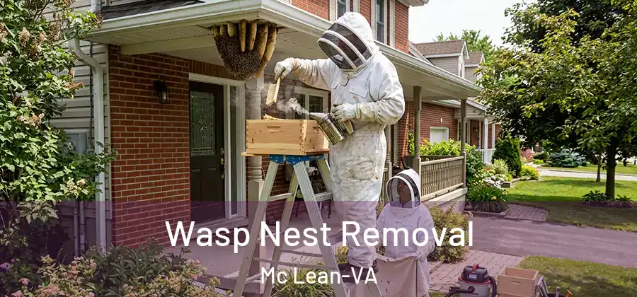  Wasp Nest Removal Mc Lean-VA