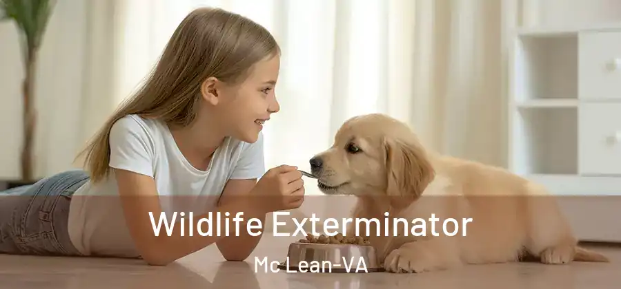 Wildlife Exterminator Mc Lean-VA