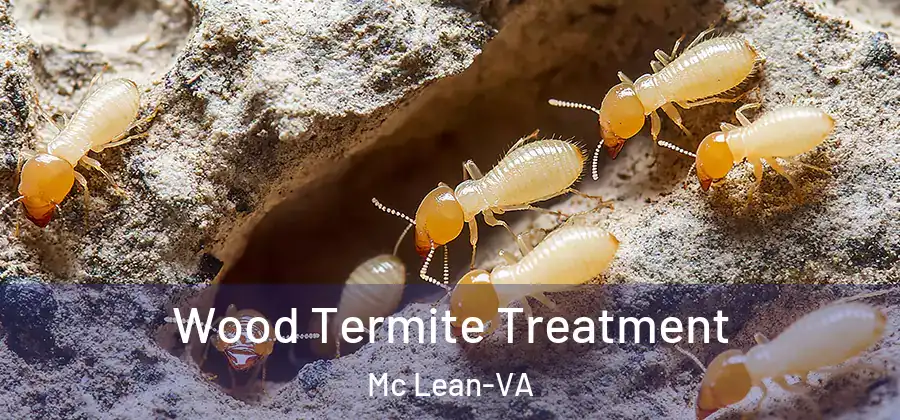  Wood Termite Treatment Mc Lean-VA