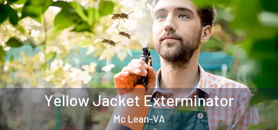 Yellow Jacket Exterminator Mc Lean-VA